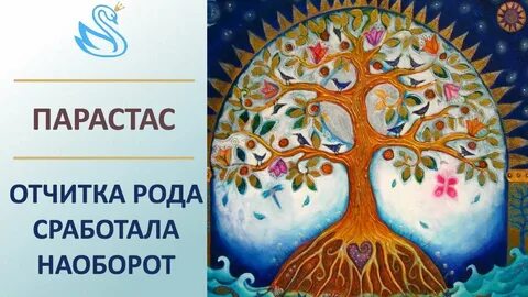 Практика рода