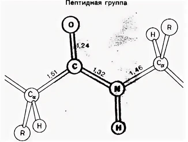 Цветовая схема моделей кори полинга колтуна Химия Начало ХИМИЯ ОПИСЫВАЕТ свойства материи которые