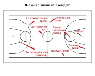 Название линий ограничивающих игровую площадку. Название линий ограничивающих игровую площадку
