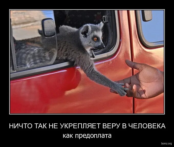 Ничто так не укрепляет веру в клиента. Ничто так не укрепляет веру в клиента как предоплата картинки. Предоплата это вера в людей. Ничто так не укрепляет веру. Ничто так не укрепляет веру в клиента.