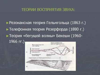 Теория бекеши