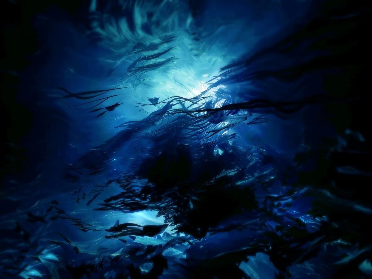 Тихи пруды холод и мрак вод их. Темные глубины океана. Океаны. Глубина. Море глубина. Океан под водой.