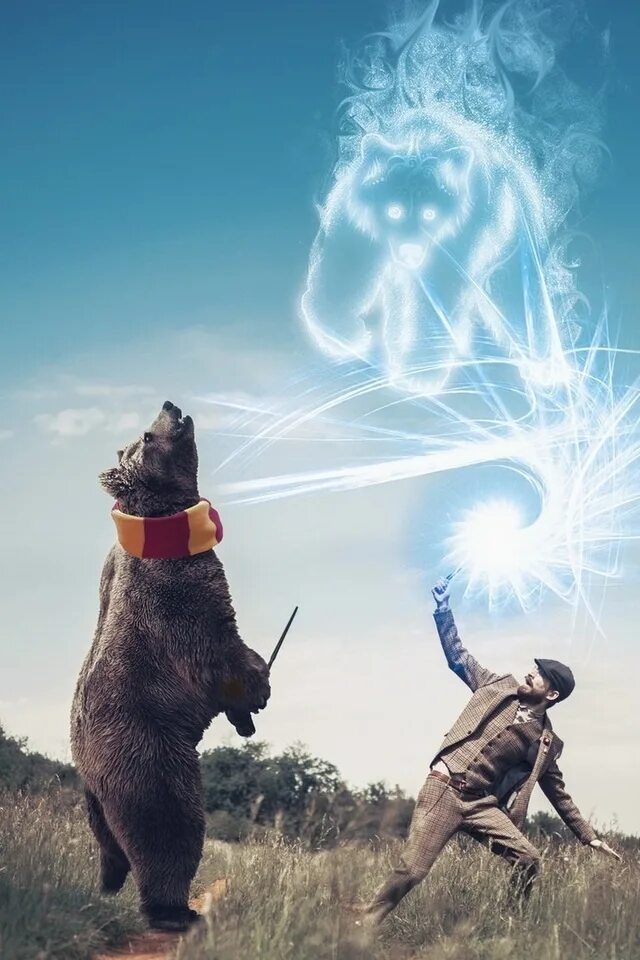 Медведь арт. Медведь колдует. Медведь колдует. Злой белый медведь. Медведь колдует.