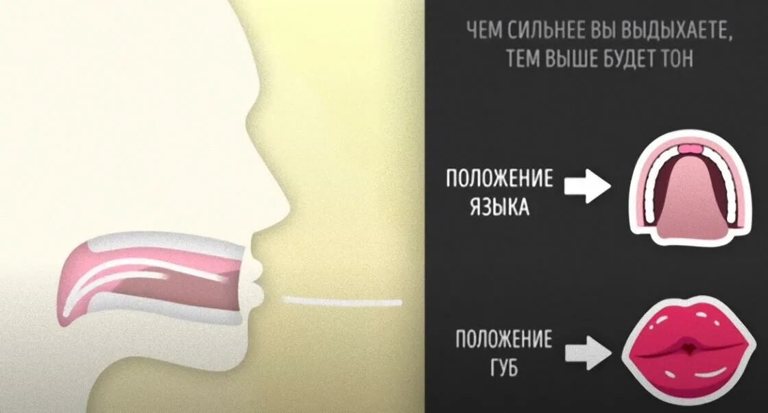 Как свистеть с пальцами во рту. Как свистеть. Как научиться свистеть громко. Как научиться свистеть громко без пальцев. Как научиться свистеть с пальцами.