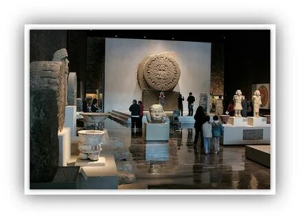 Museum anthropology
