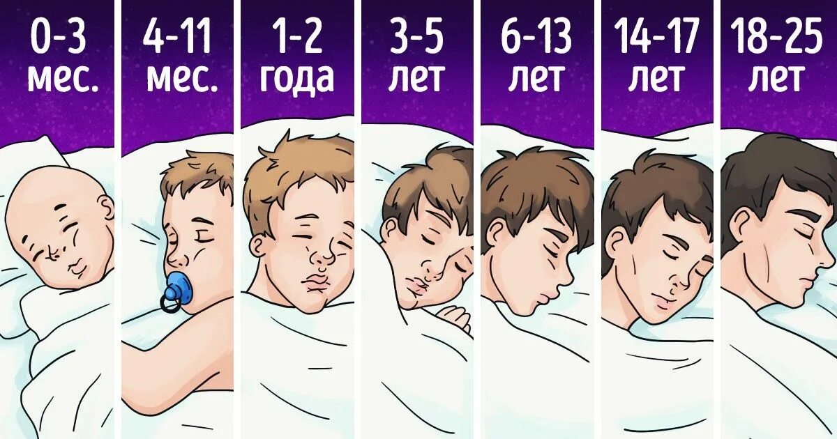 Почему человек быстро засыпает. Сколько нужно спать. сколько нужно спать человеку. норма сна для человека. сколько часов нужно спать человеку.