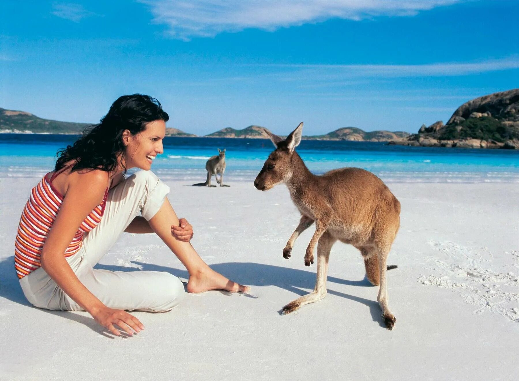 Почему говорит австралия. Остров кенгуру (залив сент-Винсент). Остров кенгуру в Австралии. Девушка и кенгуру. Австралия туризм.