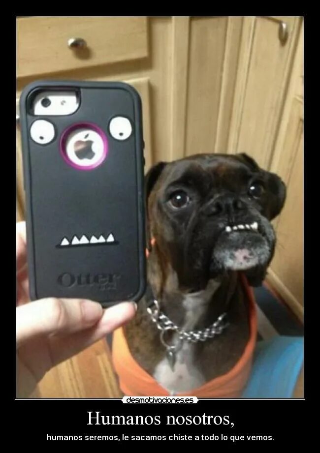 хакерский телефон. собака с айфоном. котенок и смартфон. Dog phone 2. собака звонит.