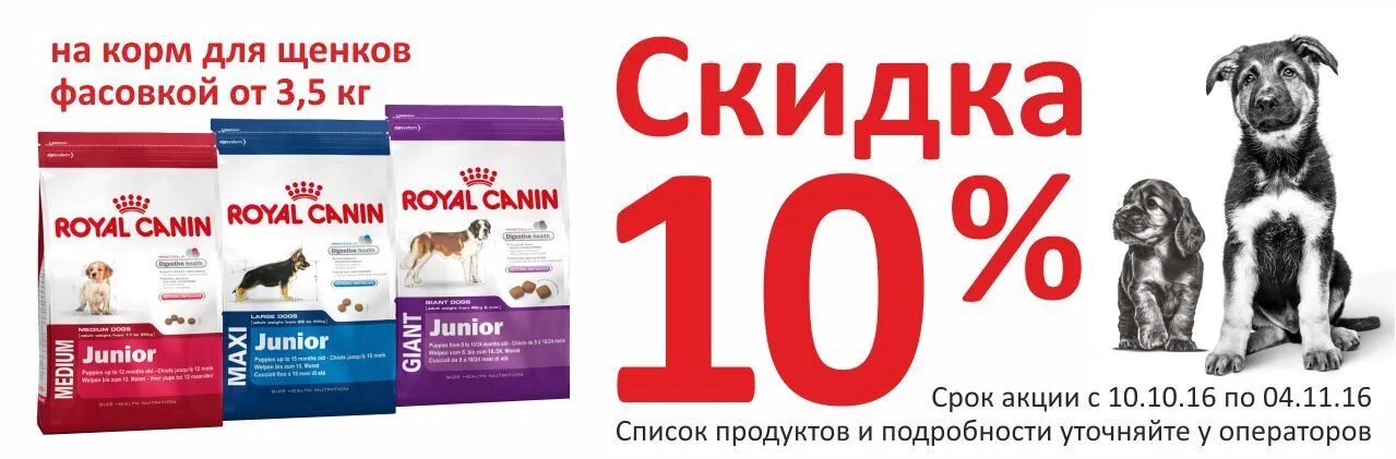 Корм собаке скидка. Скидка 15 % Royal Canin для кошек. Роял Канин скидка 15 % на корма для кошек. Скидка 15% на сухие корма для собак Роял Канин. Акции на корма для животных.