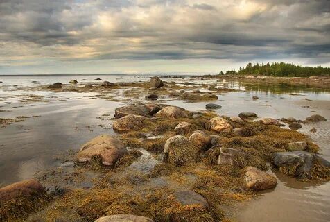 Белое море в карелии