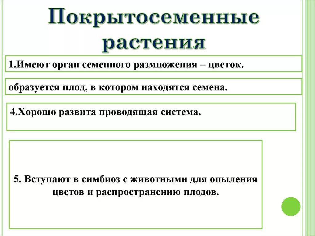 Каковы преимущества семенного размножения. Каковы преимущества семенного размножения