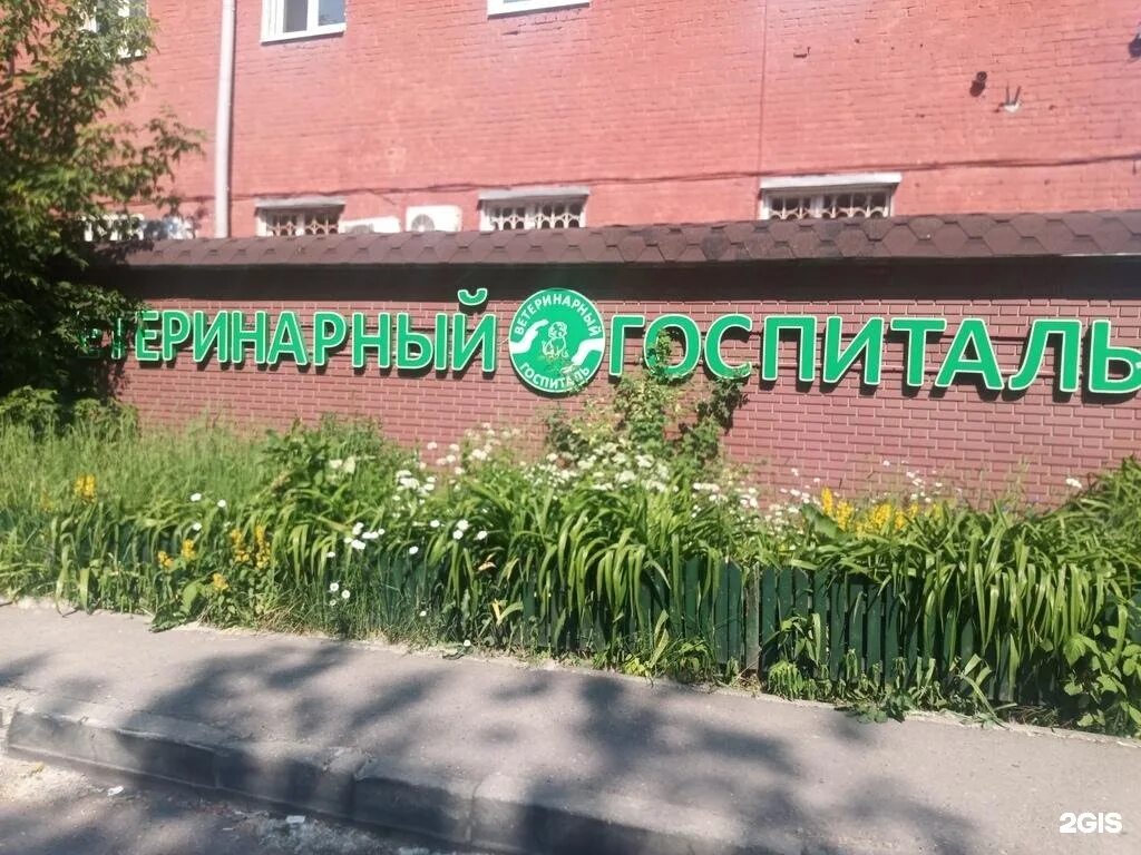 Серпуховская 47. Доктор гав. большая серпуховская 47 ветклиника подольск. доктор гав кровать.