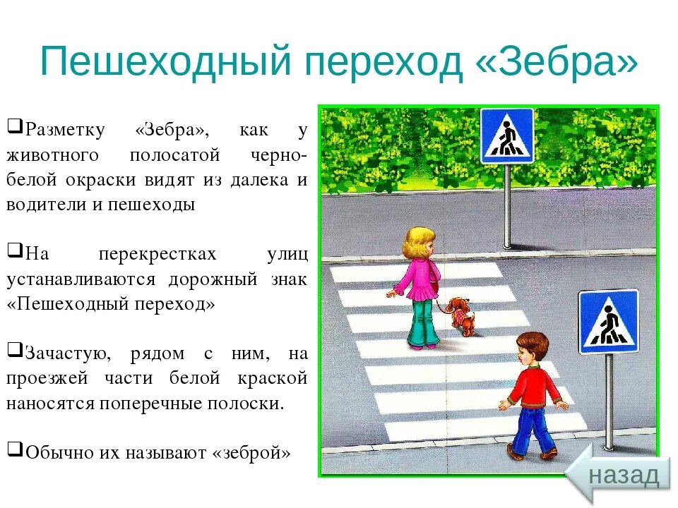 Новые правила пешехода. Пешеходный переход. Пешеходный переход для детей. ПДД для пешеходов для детей. Пешеходный переход ПДД для детей.
