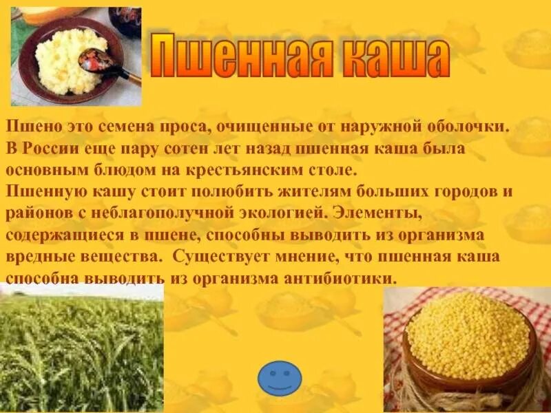 С какого возраста дают пшенную кашу. Рисунок и рецепт пшенной каши. сообщение про пшенную кашу. пшенная каша рассказ. пшено крупа.