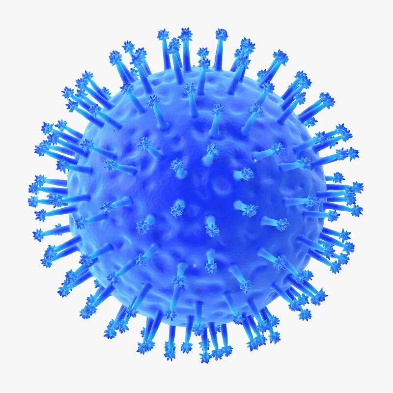 Вирусы гриппа d. Вирус гриппа. Модель вируса гриппа. Фотография вируса гриппа. Вирус гриппа картинка.