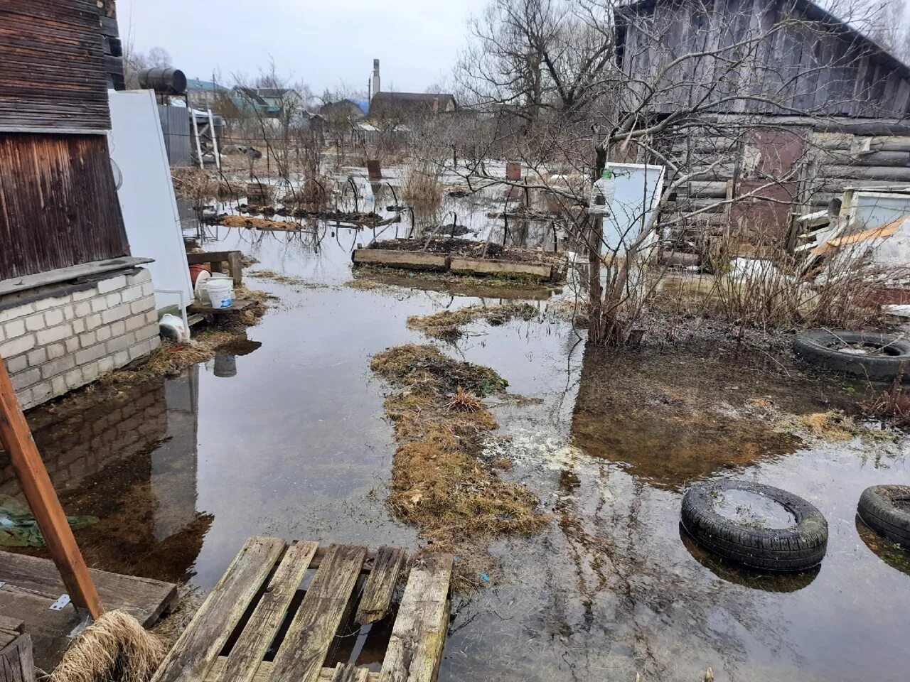 Погода волочек по часам. Наводнение в Тверской области. Торжок наводнение. Торжок затопление. Потоп в Торжке.