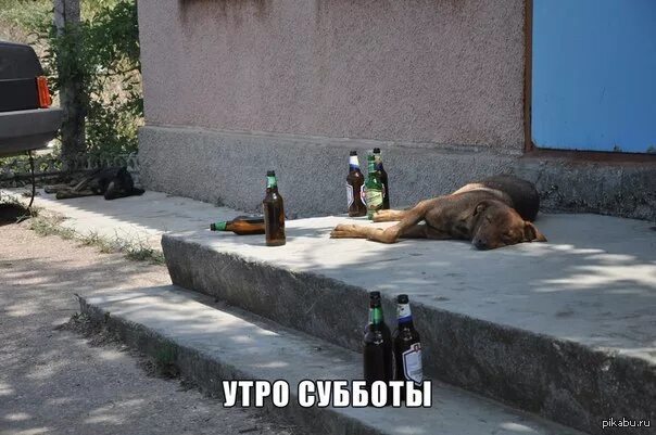 Суббота 8 утра. Утро субботы после пятницы. Суббота после пятницы. Вечер пятницы утро субботы.