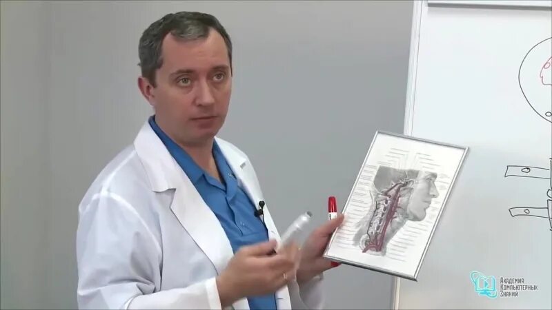 Доктор шишонин форум. А.ю. шишонин. шишонин александр - кандидат медицинских наук. шишонин юрий александрович. доктор шишонин гипертония.