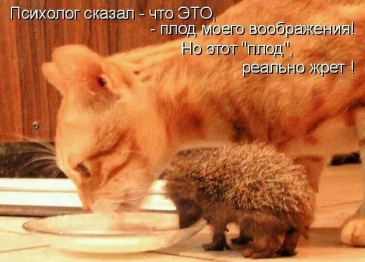 Жру 1