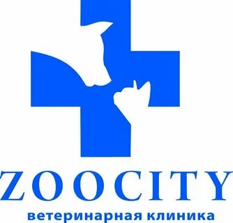 Зоосити казань