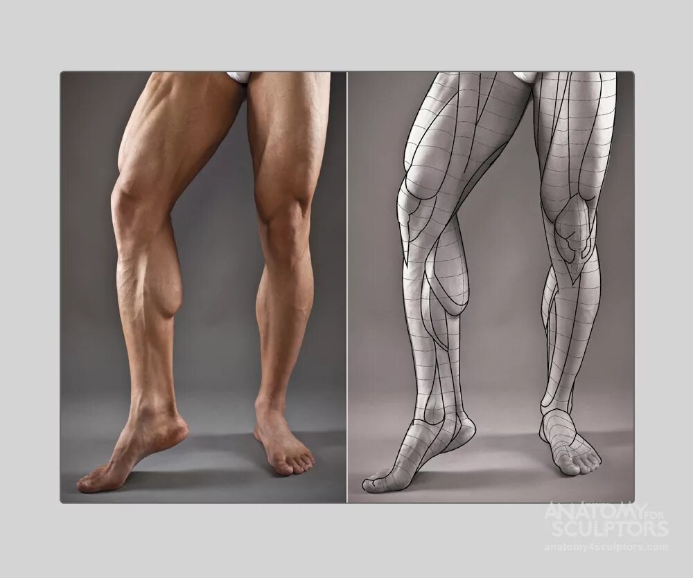 Leg point