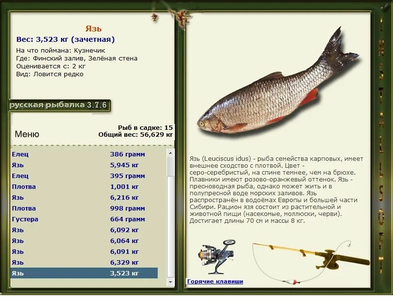 Как поймать в игре русская рыбалка. Язь русская рыбалка 3. Русская рыбалка 3 7 6 язь. Русская рыбалка 3 7 язь. Русская рыбалка 3 рыбы.