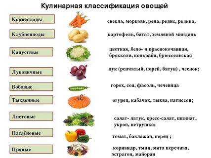 Какие овощи относятся к фруктам