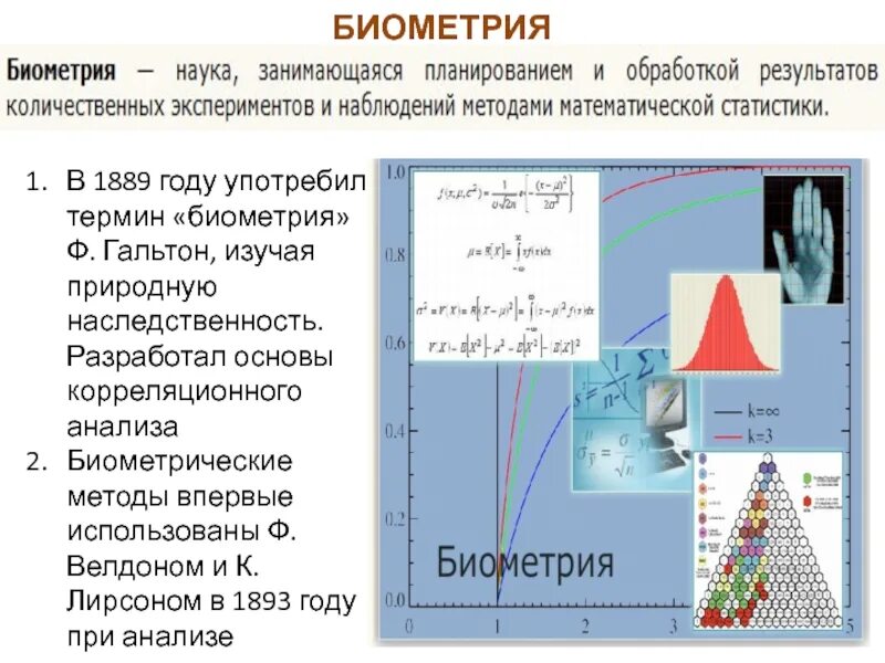 Биометрический метод исследования в генетике. Биометрическая защита. Объекты изучения биометрии. Биометрия что это и для чего. Биометрические системы идентификации.