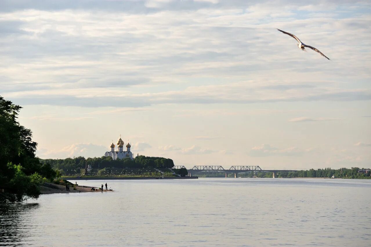 На какой реке расположен город ярославль. Река Волга Ярославль. Набережная реки Волга Кострома. Ярославль Волга и Которосль. Ярославль на берегу рек Которосль и Волга.