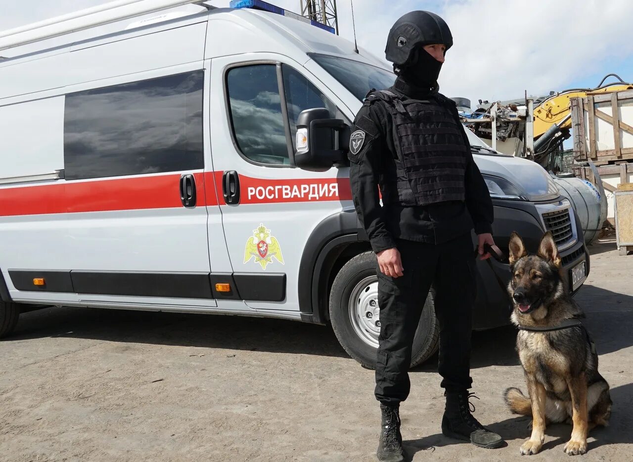 Полиция ОМОН. Росгвардия полицейский боец. Охрана общественного порядка. Росгвардия охрана.