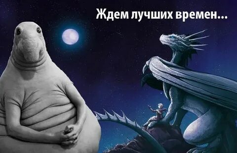 Ждут хорошую статью