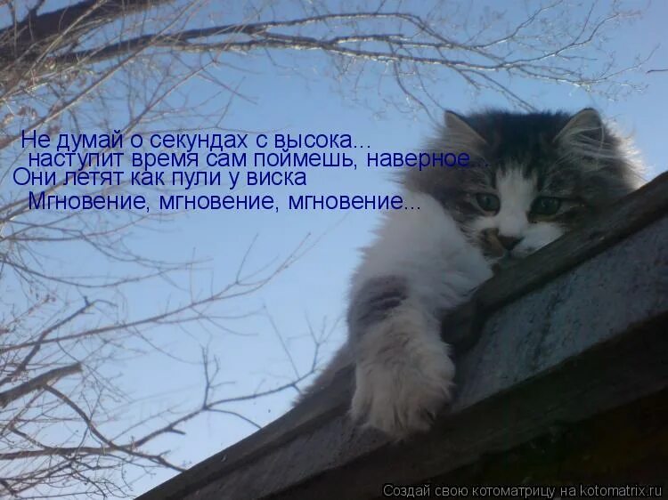 наступает момент когда понимаешь что зря пустил кого-то в свою жизнь. нет ничего важнее семьи цитаты. прикол не думай о тарифах свысока. наступает момент когда понимаешь что зря пустил. наступает время когда понимаешь что в жизни нет ничего важнее семьи.