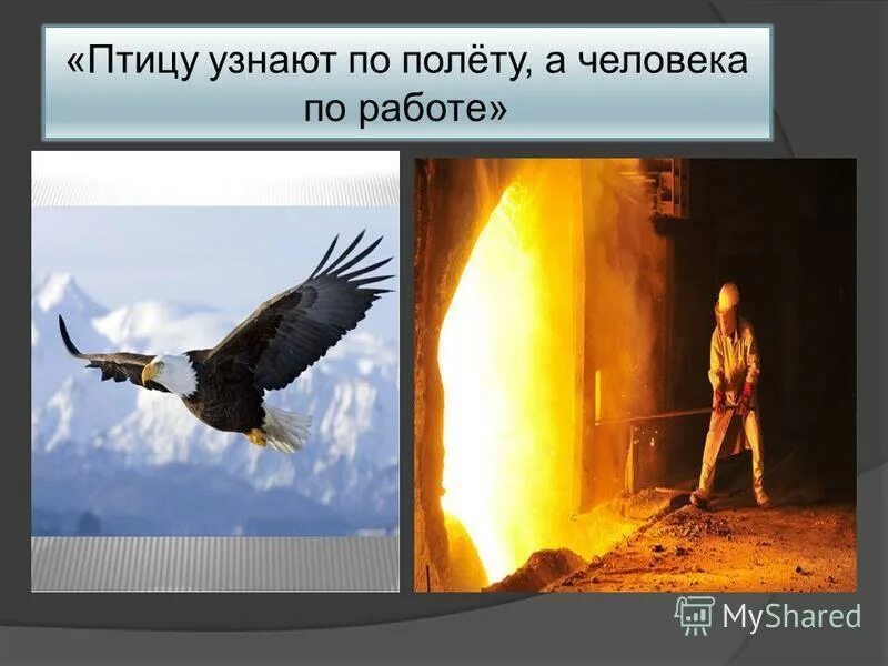 Провожаю птиц. Девушка птица в небе. Девушка птица. Мужчина с птицей. Птица на ладони.