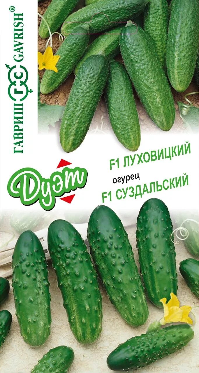 Огурец Луховицкий F1. Гавриш серия 1+1=3 - YouTube