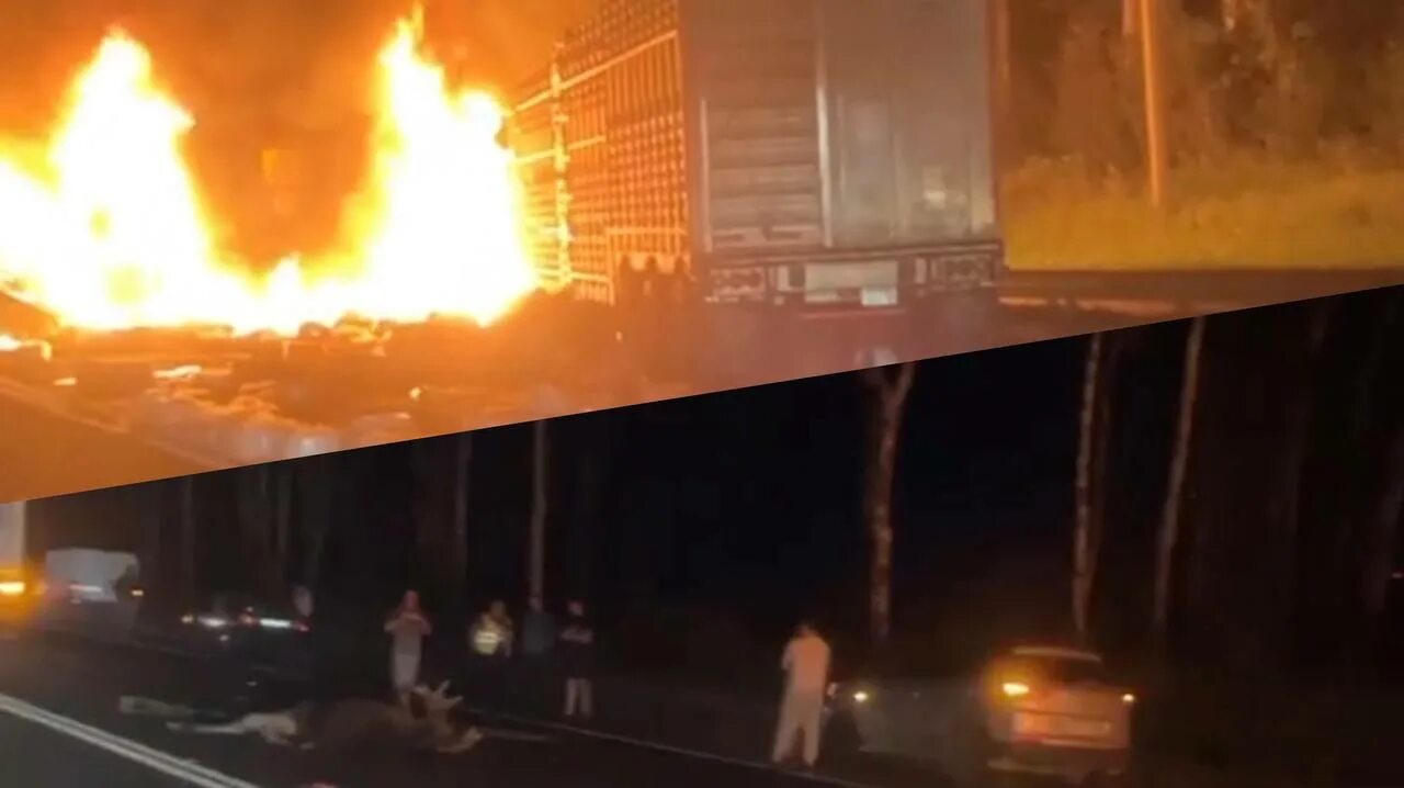 Дмитровское шоссе горит фура 12 февраля. Лось в фуре в лобовом стекле.
