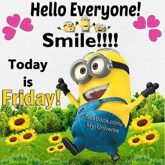 Hello it s we. Hello everyone. hello everyone картинка. hello everybody. тудей фрайдей.