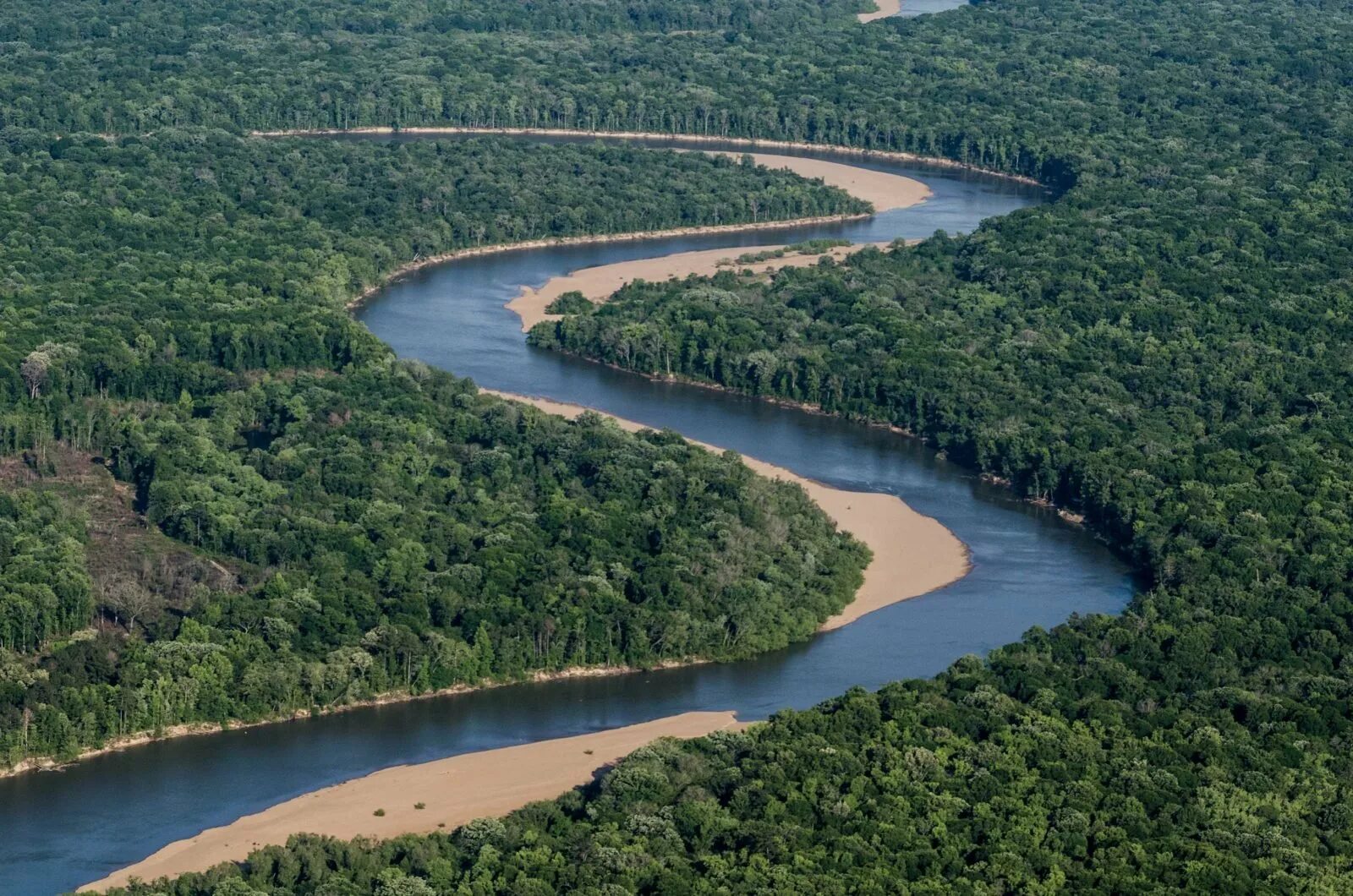 Полноводная река планеты. Южная Америка река Амазонка. Река Журуа Южная Америка. Амазонская низменность. Река Миссисипи.