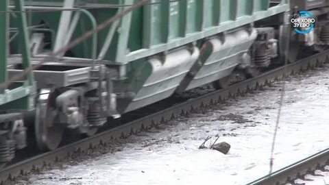 Ласточка орехово зуево нижний