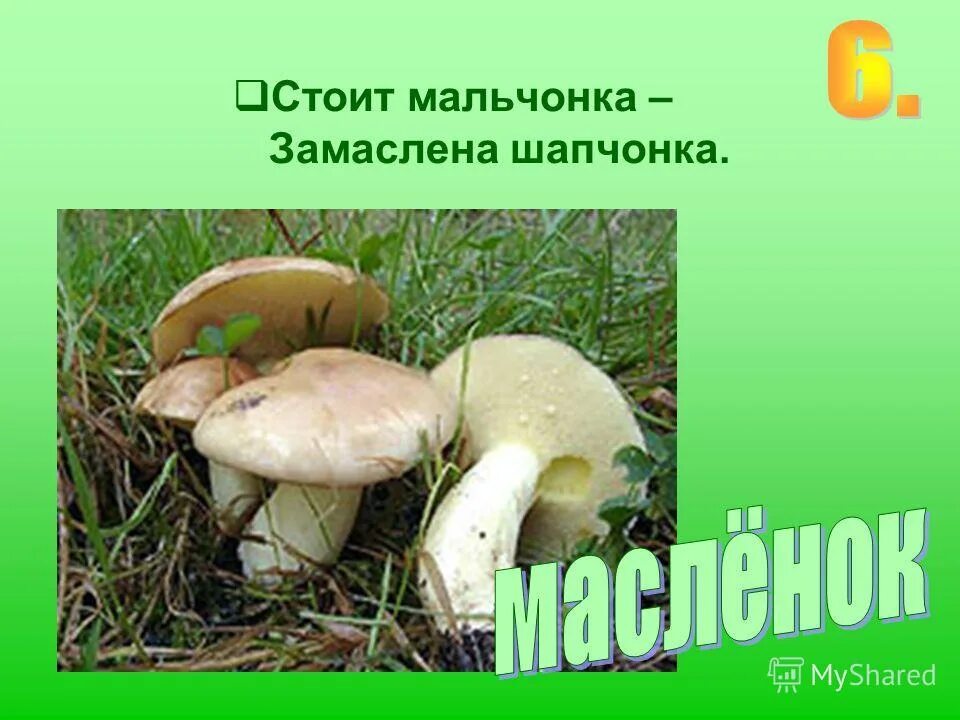 Мальчик с зелеными глазами. Картинки рыжая подросток. Стоит мальчонка замаслена шапчонка. Рыжий мальчик. Шапчонка как проверить.