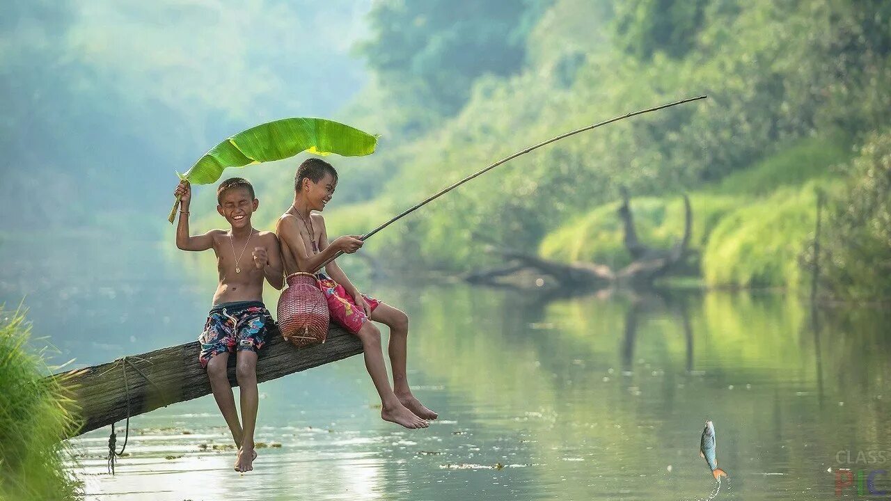 Радость счастье любовь. Радость жизни любовь. Мелкие радости жизни. Яркие моменты жизни. Приятные моменты в жизни.