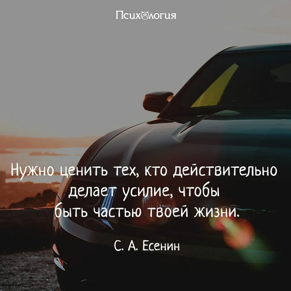 Этот мир не выдержит меня слушать. Всегда буду ценить людей которые. Если человек вас не ценит. Ценить нужно тех людей которые. Цитаты надо было ценить.