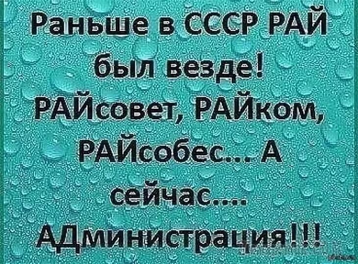 Не смешные выражения. Смешные цитаты. смешные фразы. смешные высказывания. высказывания смешные и прикольные.