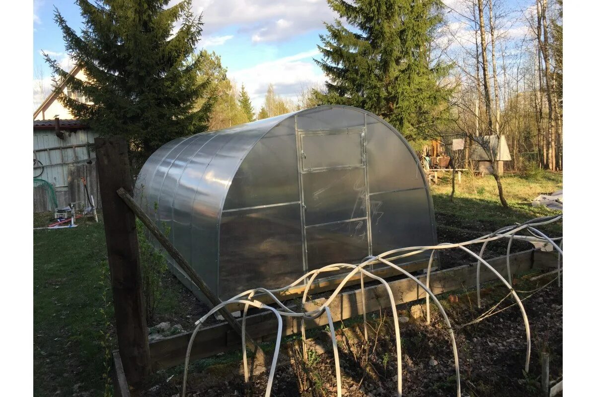 Ленинградские теплицы, посёлок щеглово. Ленинградские теплицы. Ленинградские теплицы свет дельый. Теплица 2х4 усиленная усиленная. Ленинградские теплицы.