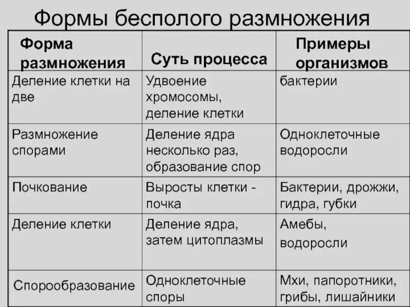 Деление клетки спорообразованием. Способы бесполого размножения таблица 6 класс биология. Бесполое размножение организмов 9 класс таблица. Формы бесполого размножения таблица 6 класс. Таблица по биологии 9 класс бесполое размножение.