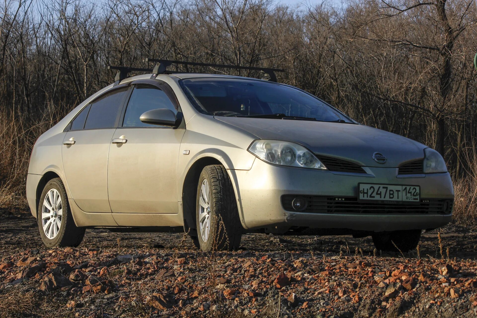 Nissan primera p12 шины. Nissan primera p12 Wagon. Nissan primera p12 Wagon Tuning. Nissan primera p12 с панорамный крышей.