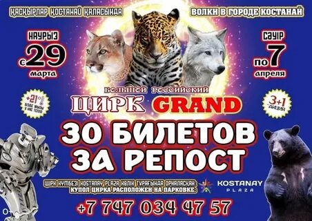 Цирк гранд