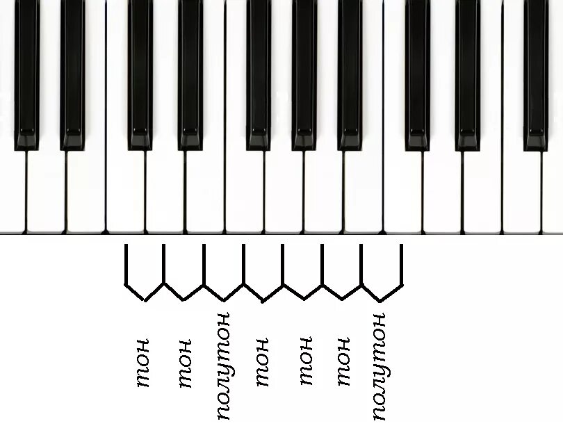 0 октава. Пианино клавитара 1 Октава. Клавиатура фортепиано для сольфеджио тон полутон. Нотная клавиатура 1 Октава. Схема клавиатуры фортепиано тон полутон.