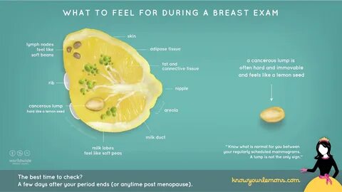 What to feel for during a breast exam.