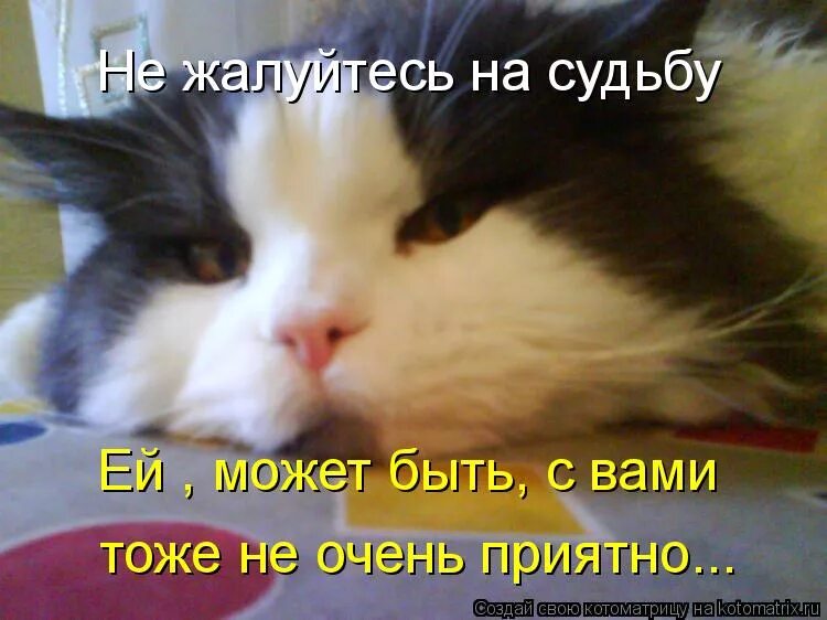 Как жаль что вы наконец уходите