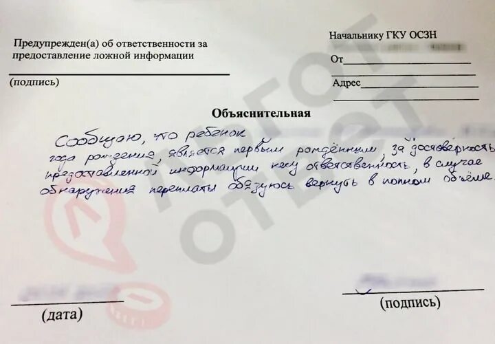 Заявление на путинские выплаты на первого ребенка. Заявление на путинские выплаты до 3 лет. Путинское пособие до 3 лет заявление. Образец заявления на путинское пособие на первого ребенка.